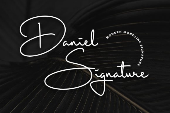 Daniel Signature: A Designer's Honest Review for Real Projects