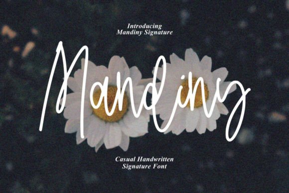 Mandiny: The Handmade Script Font That Elevates Small Business Branding