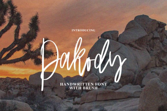 Pakody: A Designer's Honest Review for Real-World Branding