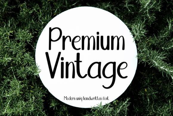 Premium Vintage: The Handwritten Typeface for Editorial Design